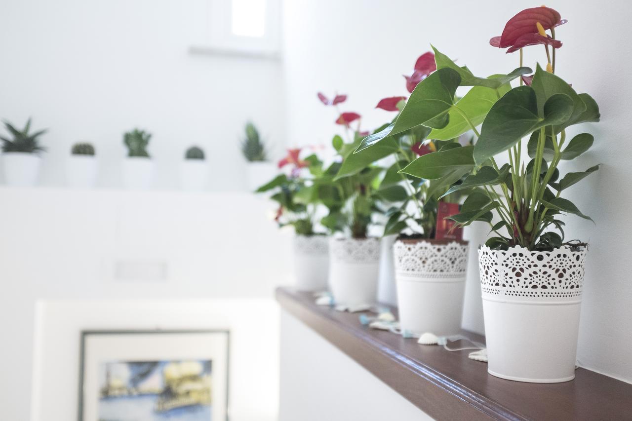 B&B Acquapazza Brindisi Ngoại thất bức ảnh